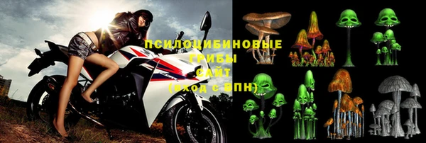 мдпв Бугульма