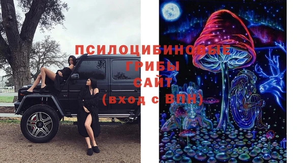 мдпв Бугульма