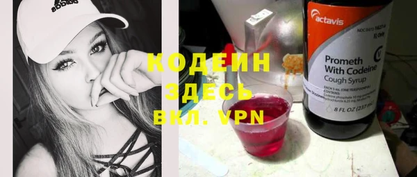 шишки Бородино