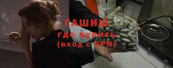 шишки Бородино