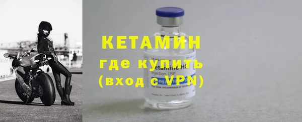 шишки Бородино
