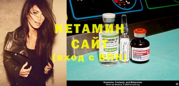 шишки Бородино