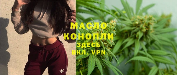 шишки Бородино