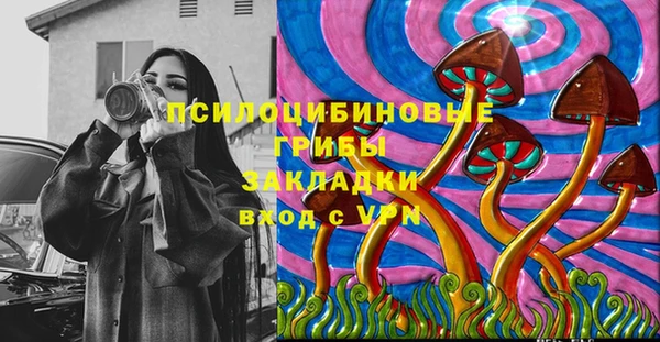 шишки Бородино