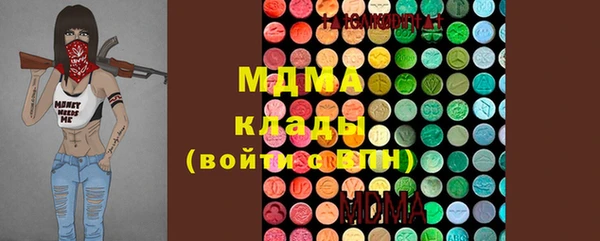 шишки Бородино